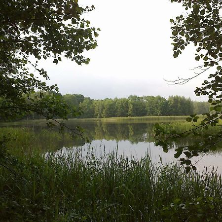 Ferienhaus Knappensee Lohsa Kültér fotó
